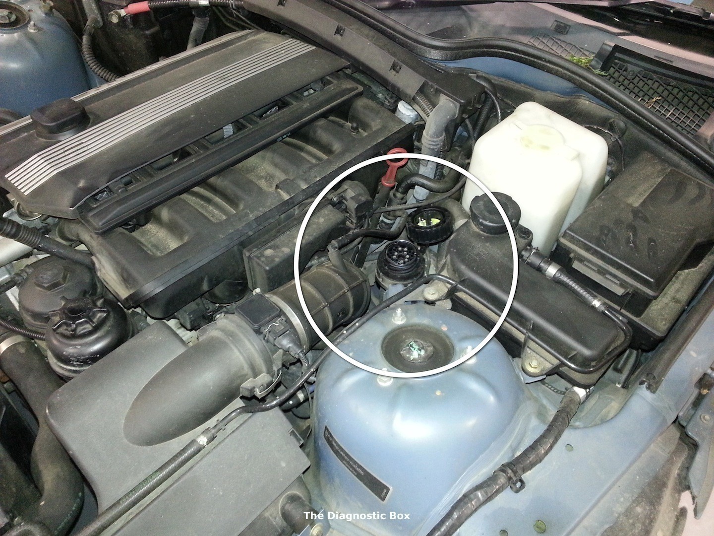 Bmw Z3 Obd Location